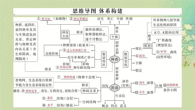 2025届高考生物二轮专题复习与测试板块五生物与环境专题十一种群与群落课件第2页