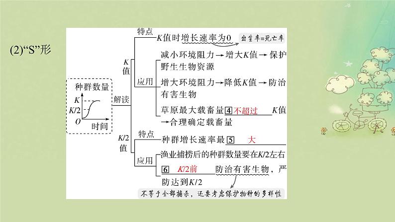 2025届高考生物二轮专题复习与测试板块五生物与环境专题十一种群与群落课件第6页