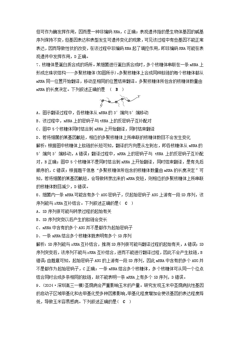 2025届高考生物二轮专题复习与测试专题强化练八遗传的分子基础第3页