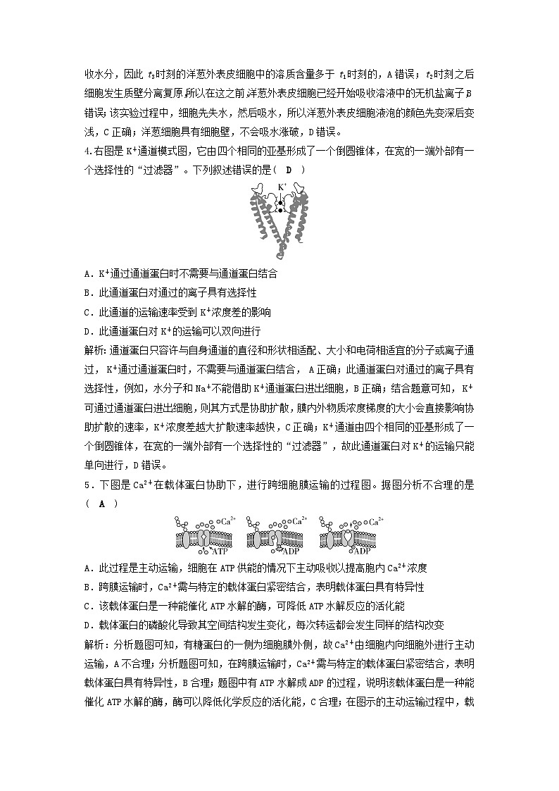 2025届高考生物二轮专题复习与测试专题强化练二细胞代谢的保障第2页