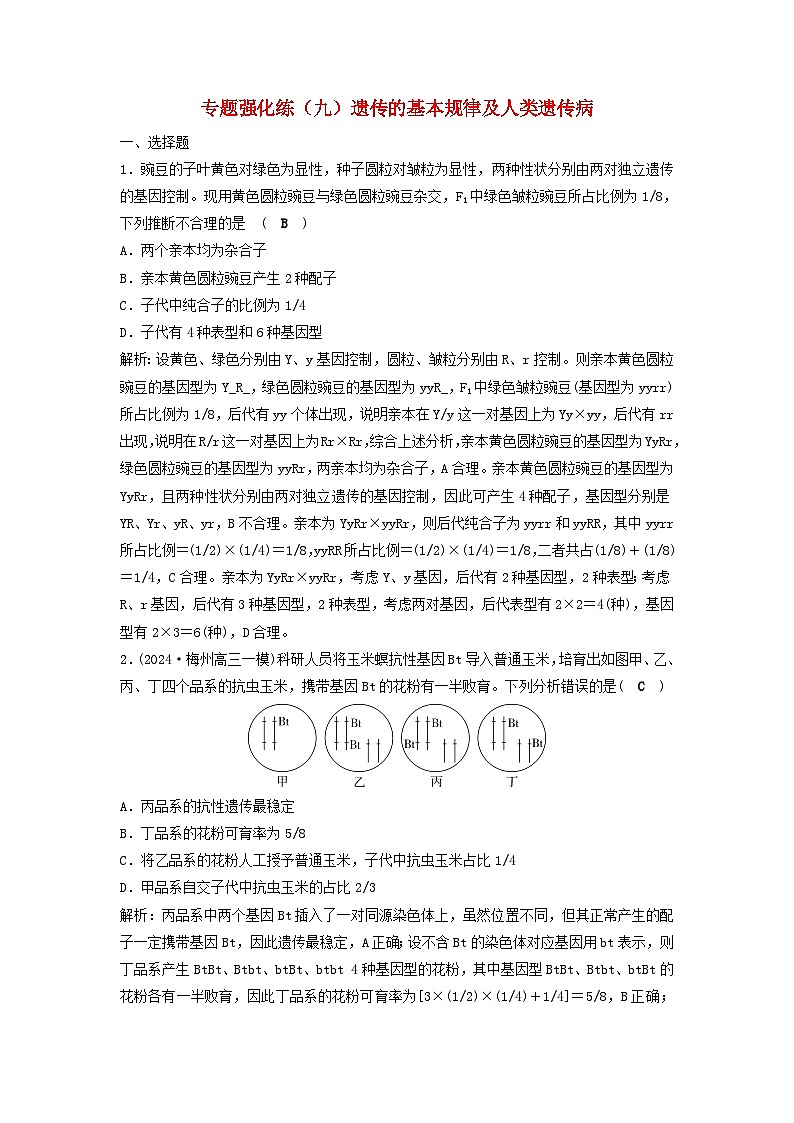 2025届高考生物二轮专题复习与测试专题强化练九遗传的基本规律及人类遗传病第1页