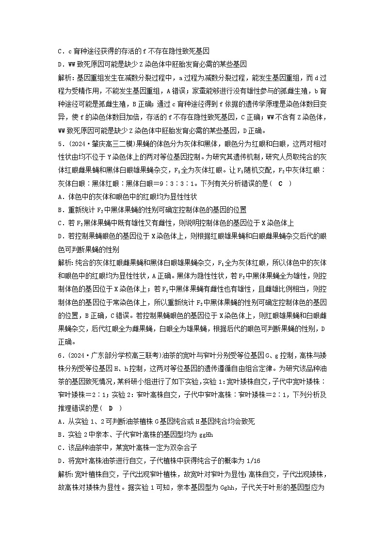 2025届高考生物二轮专题复习与测试专题强化练九遗传的基本规律及人类遗传病第3页