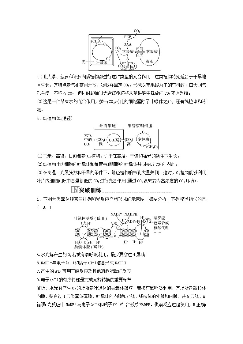 2025届高考生物二轮专题复习与测试板块二植物生理学命题最前沿四光系统及电子传递链光呼吸CAM途径C4途径第2页