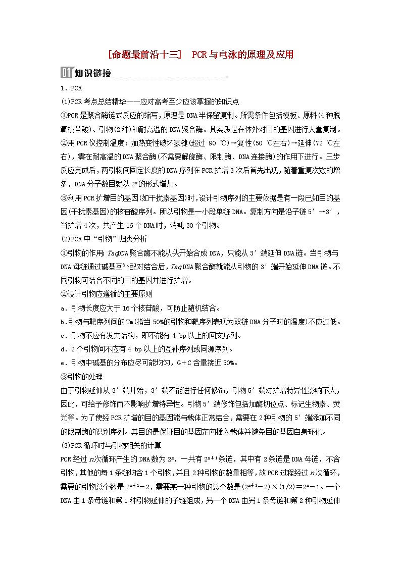 2025届高考生物二轮专题复习与测试板块六生物技术与工程命题最前沿十三PCR与电泳的原理及应用第1页