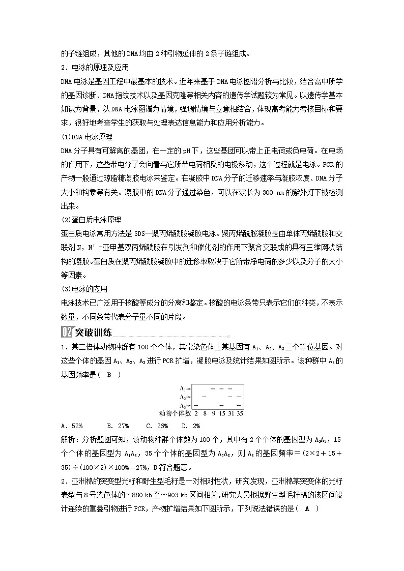 2025届高考生物二轮专题复习与测试板块六生物技术与工程命题最前沿十三PCR与电泳的原理及应用第2页