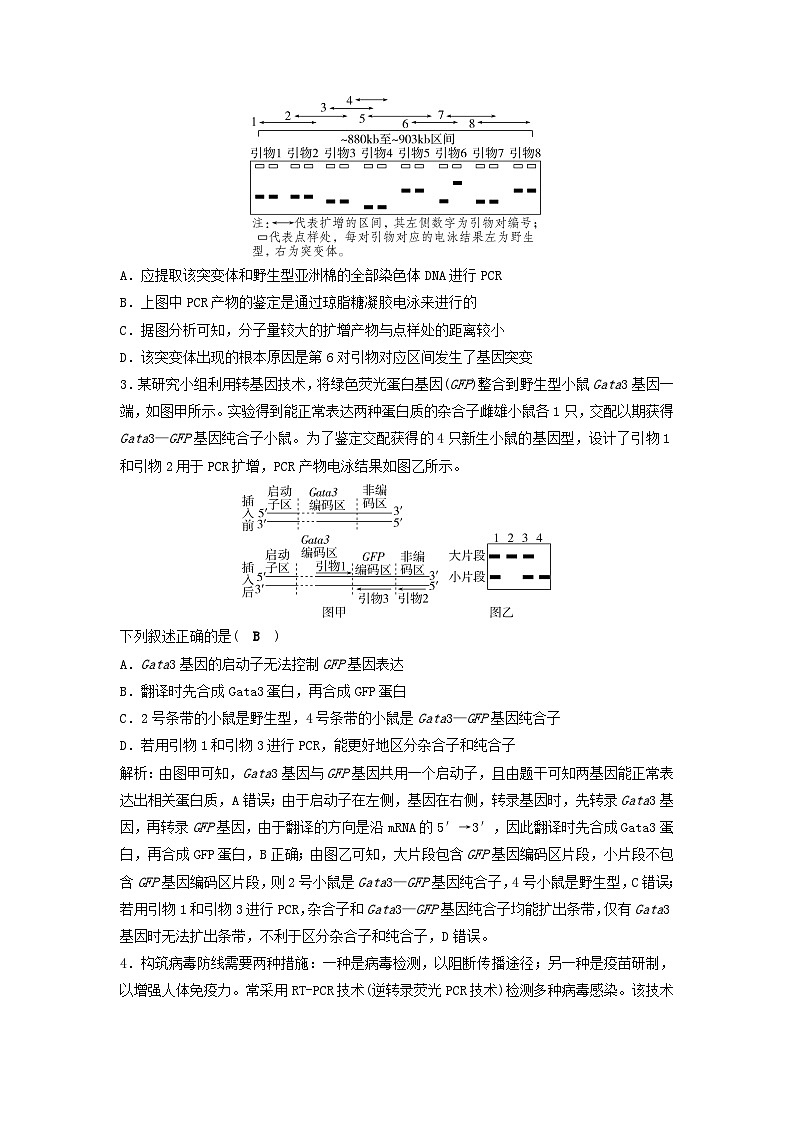 2025届高考生物二轮专题复习与测试板块六生物技术与工程命题最前沿十三PCR与电泳的原理及应用第3页