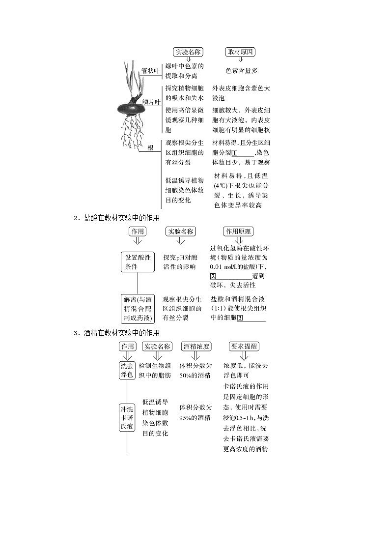 2025届高考生物二轮专题复习与测试板块七实验专题十五实验与探究第2页