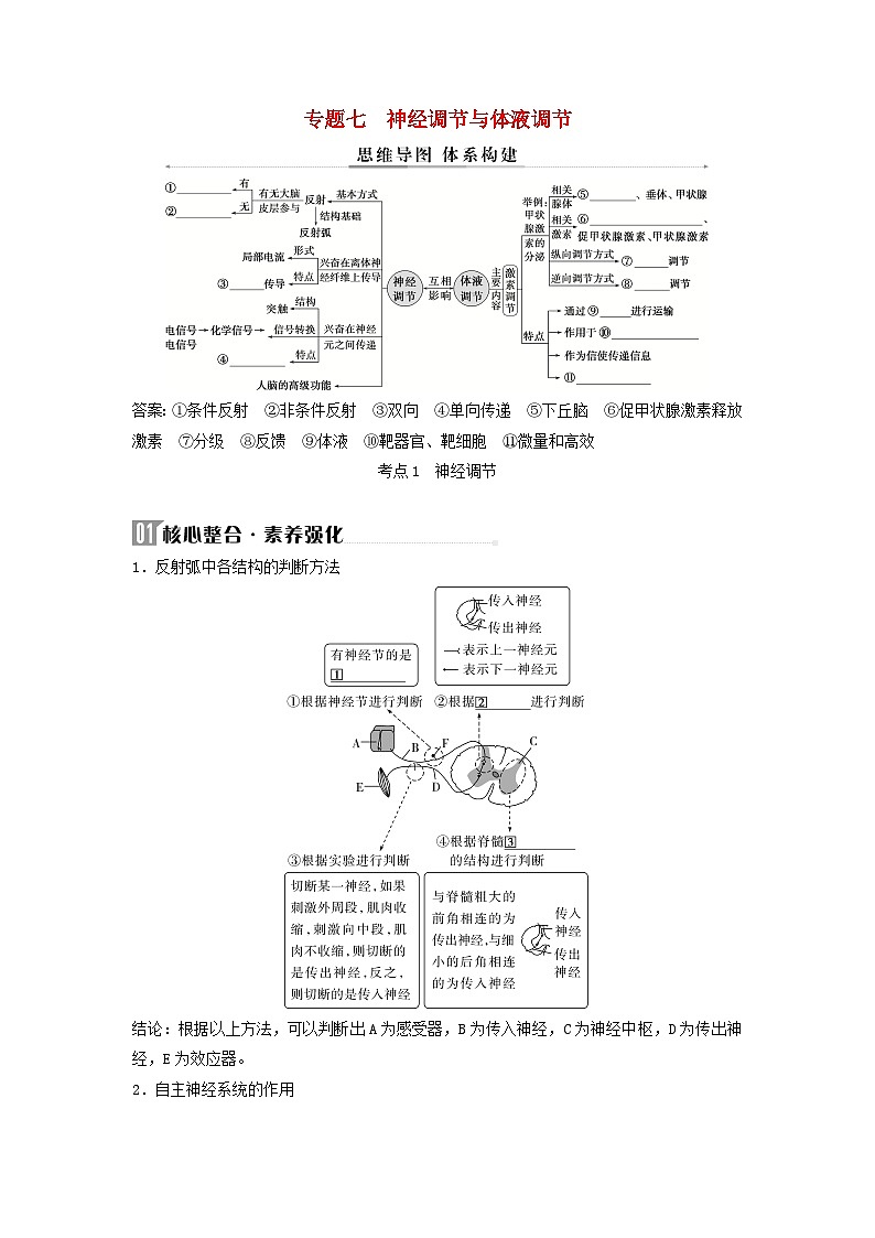 2025届高考生物二轮专题复习与测试板块三动物生理学专题七神经调节与体液调节第1页