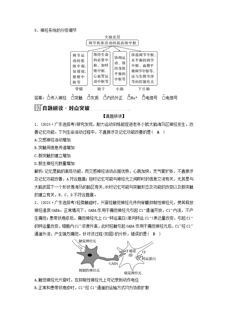 2025届高考生物二轮专题复习与测试板块三动物生理学专题七神经调节与体液调节第3页