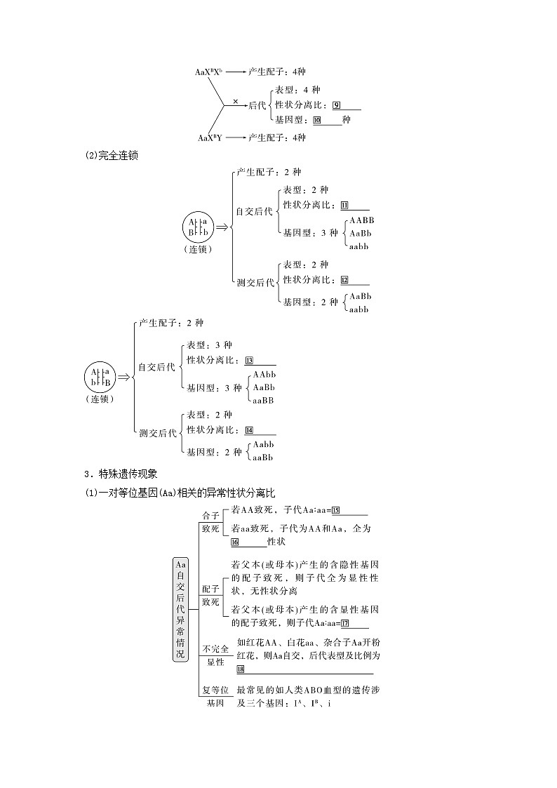2025届高考生物二轮专题复习与测试板块四遗传学与进化论专题九遗传的基本规律及人类遗传病第3页