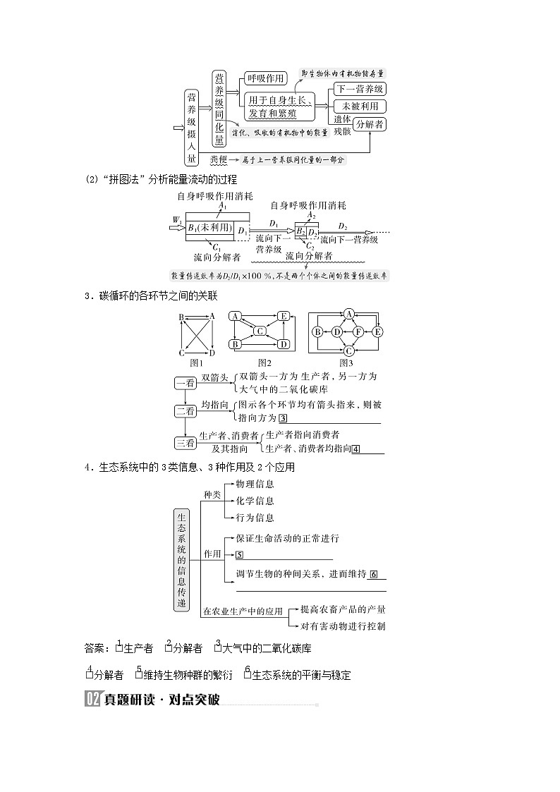 2025届高考生物二轮专题复习与测试板块五生物与环境专题十二生态系统和生态环境的保护第2页