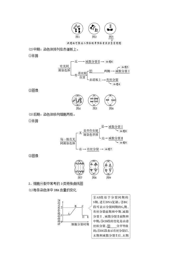 2025届高考生物二轮专题复习与测试板块一细胞生物学专题三细胞增殖分化衰老和死亡第2页