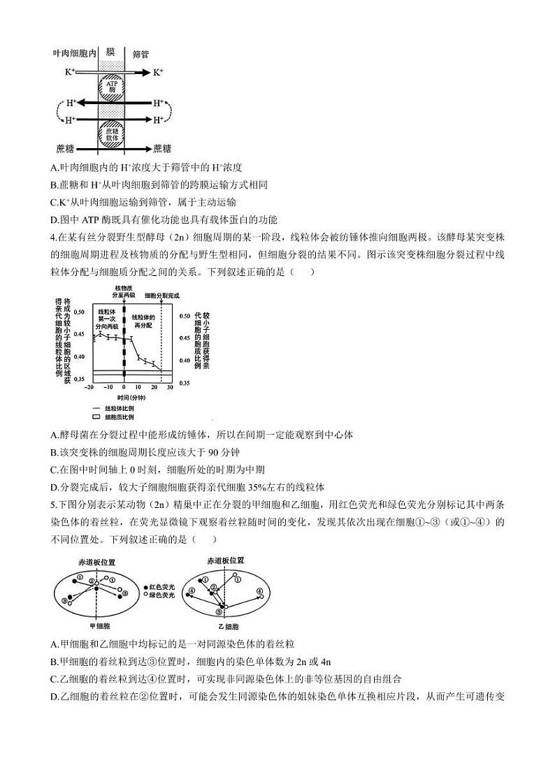 安徽省十联考合肥市第一中学等校2025届高三上学期高考一轮复习阶段性诊断检测-生物试卷+答案第2页