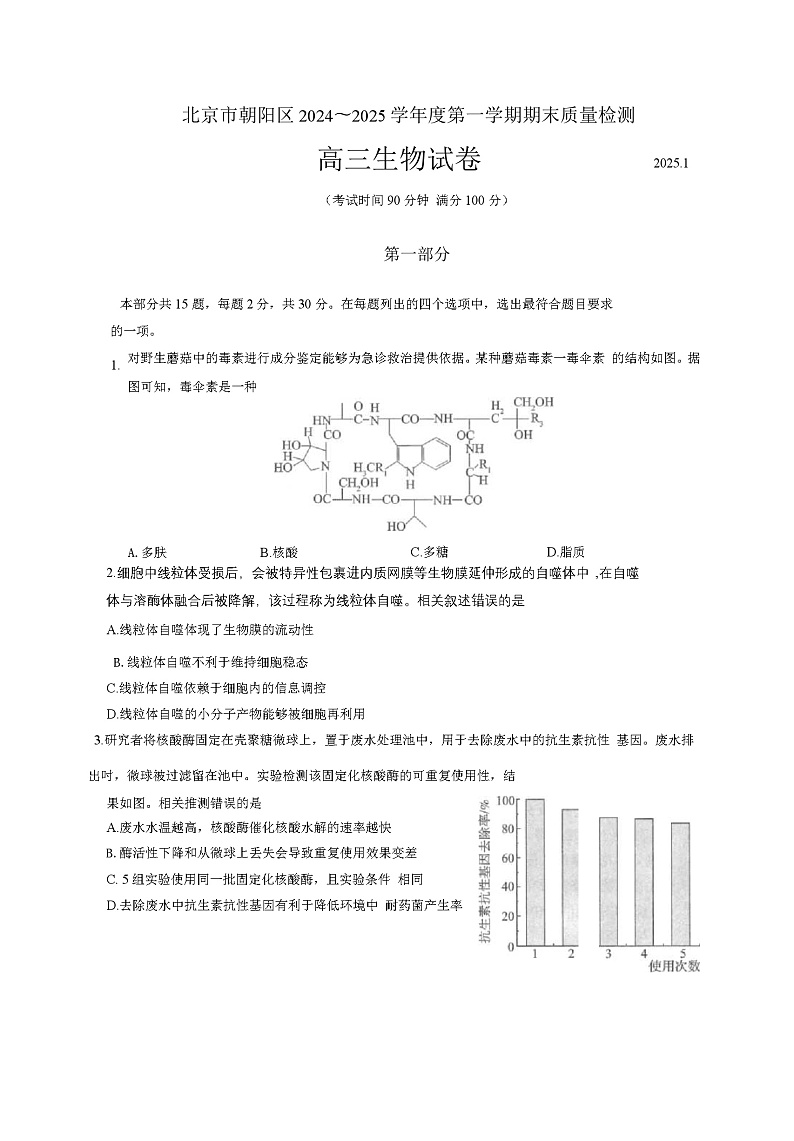 北京市朝阳区2024-2025学年度第一学期期末质量检测高三生物试题及答案第1页