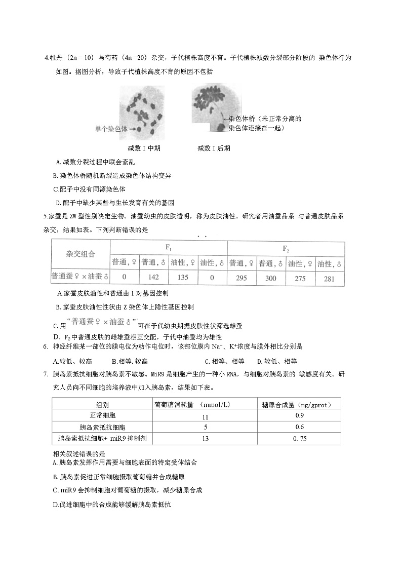 北京市朝阳区2024-2025学年度第一学期期末质量检测高三生物试题及答案第2页