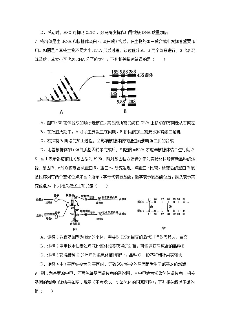 2025届安徽省淮北市和淮南市高三第一次质量检测生物试题第3页