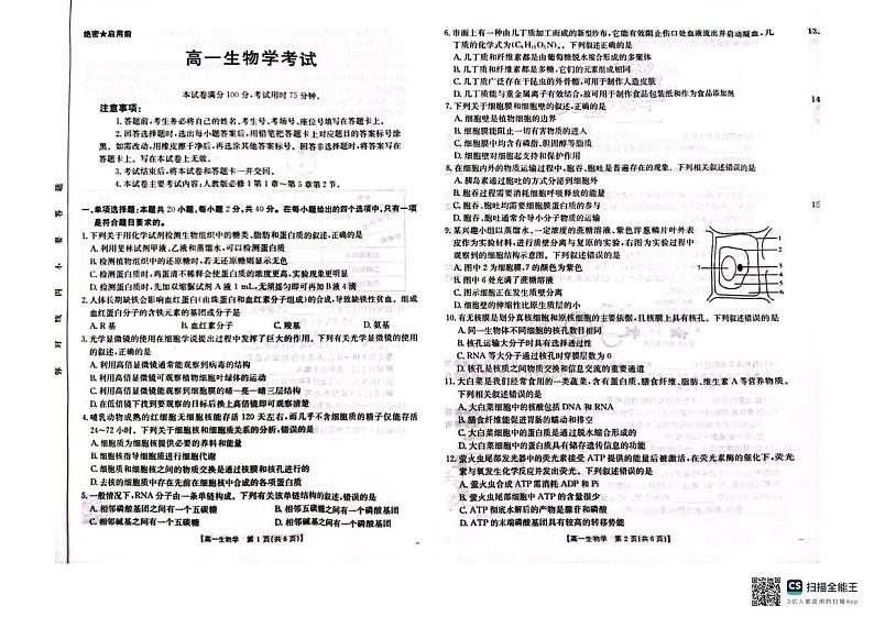 青海省部分学校2024-2025学年高一上学期12月考试生物学试卷第1页