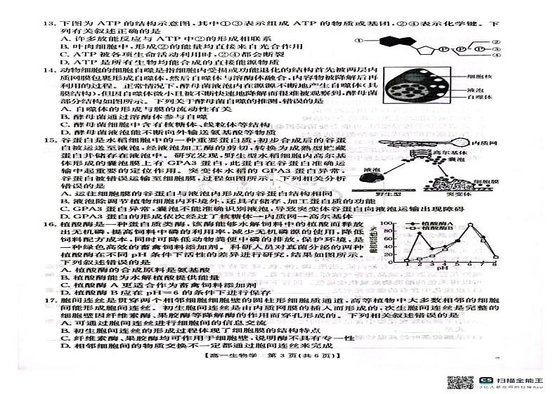 青海省部分学校2024-2025学年高一上学期12月考试生物学试卷第2页