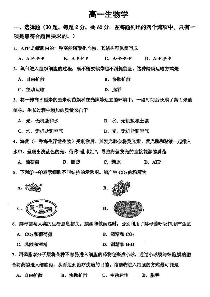 天津市红桥区2024-2025学年高一上学期期末考试生物试题第1页