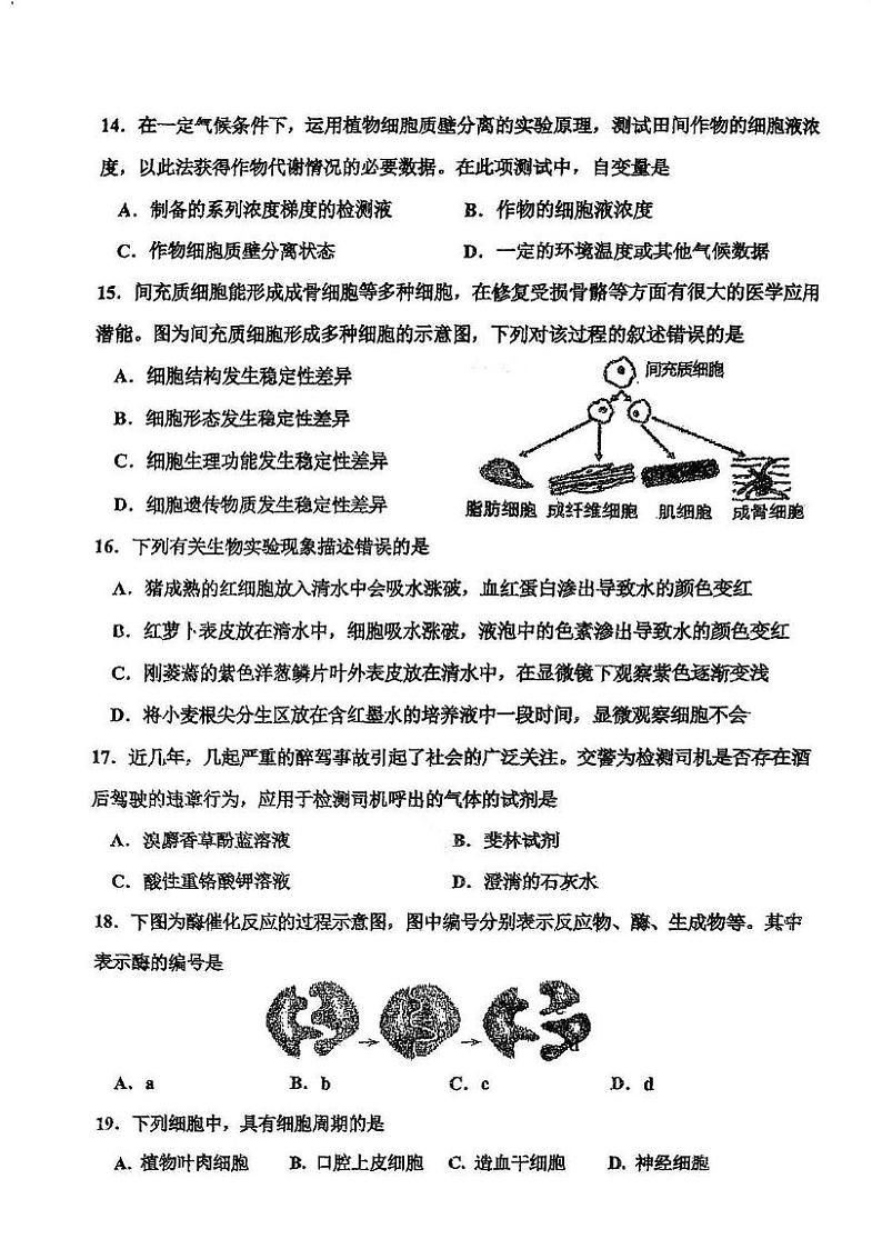 天津市红桥区2024-2025学年高一上学期期末考试生物试题第3页