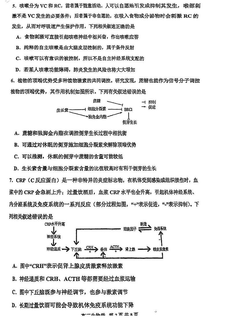 天津市红桥区2024-2025学年高三上学期期末考试生物试题第2页