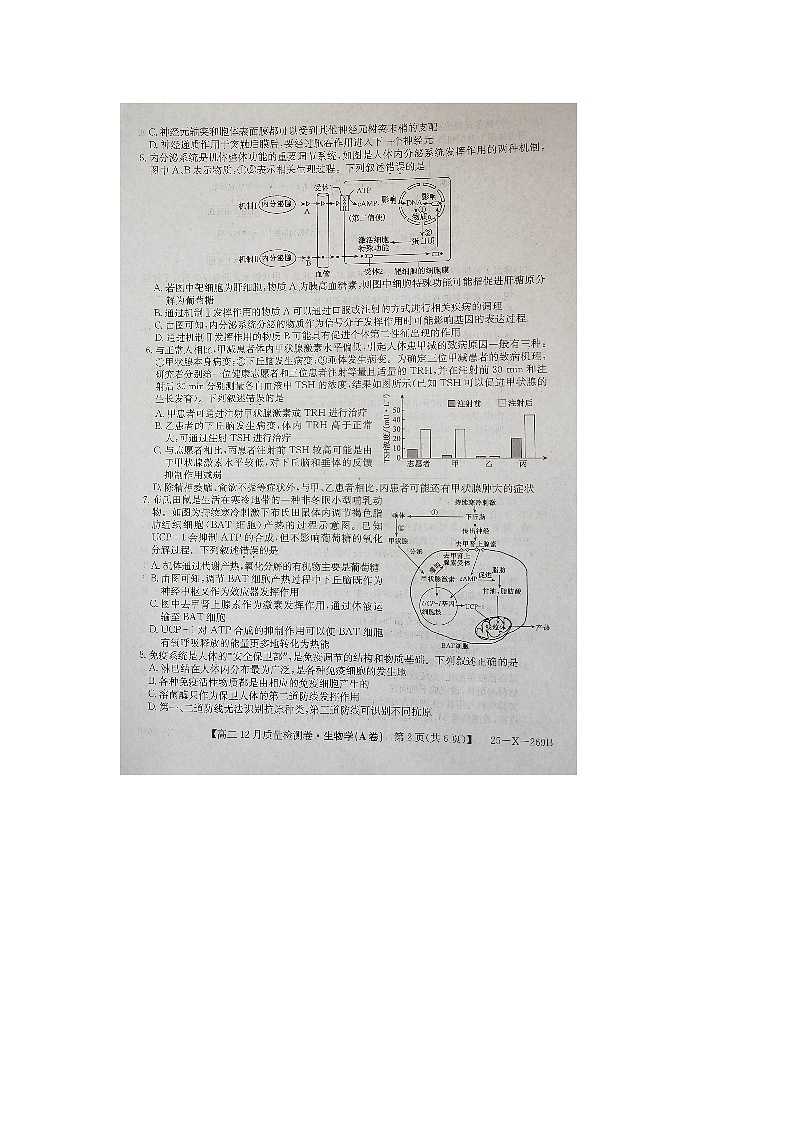 2025山西省三晋名校联考高二上学期12月月考试题生物图片版无答案第2页