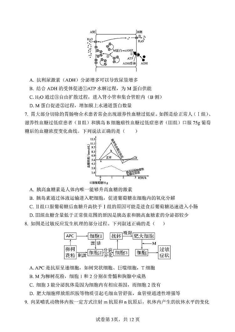 2025泰安一中高二上学期12月学情检测试题生物PDF版含答案第3页