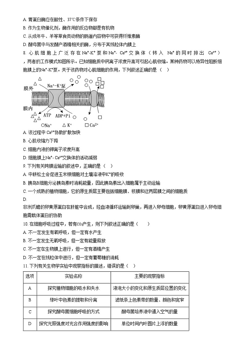 黑龙江省哈尔滨市哈三中2024~2025学年高一上学期12月月考生物试卷无答案第2页