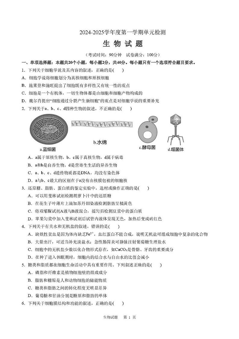 山东省滕州市第一中学2024-2025学年高一上学期12月单元检测生物答案第1页