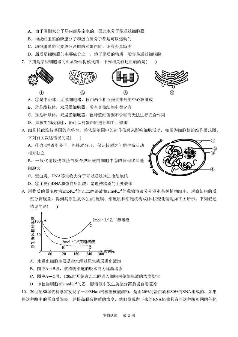 山东省滕州市第一中学2024-2025学年高一上学期12月单元检测生物答案第2页