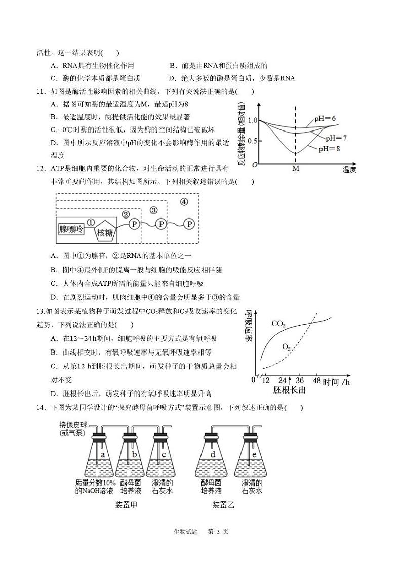 山东省滕州市第一中学2024-2025学年高一上学期12月单元检测生物答案第3页