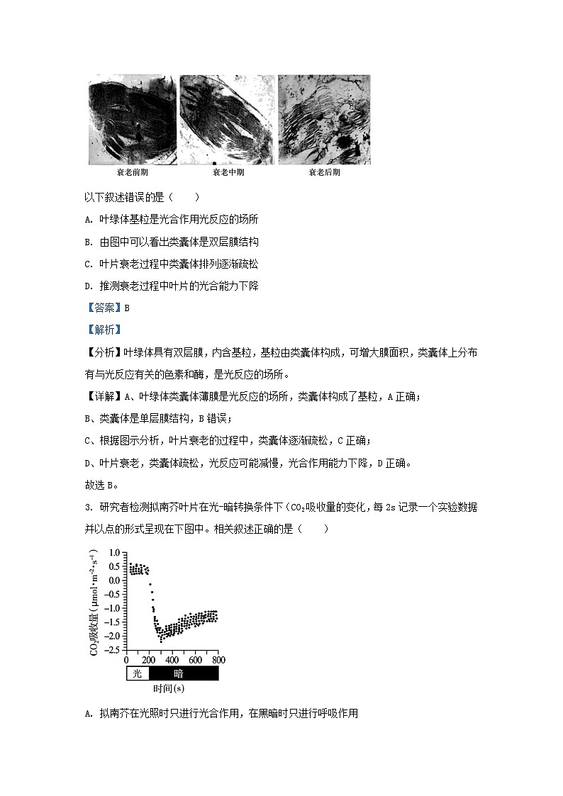 北京市朝阳区2023_2024学年高三生物上学期期中质量检测含解析第2页