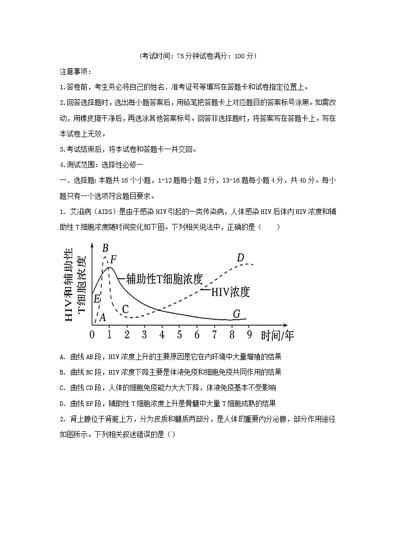 广东省2023_2024学年高二生物上学期第二次月考试题含解析第1页