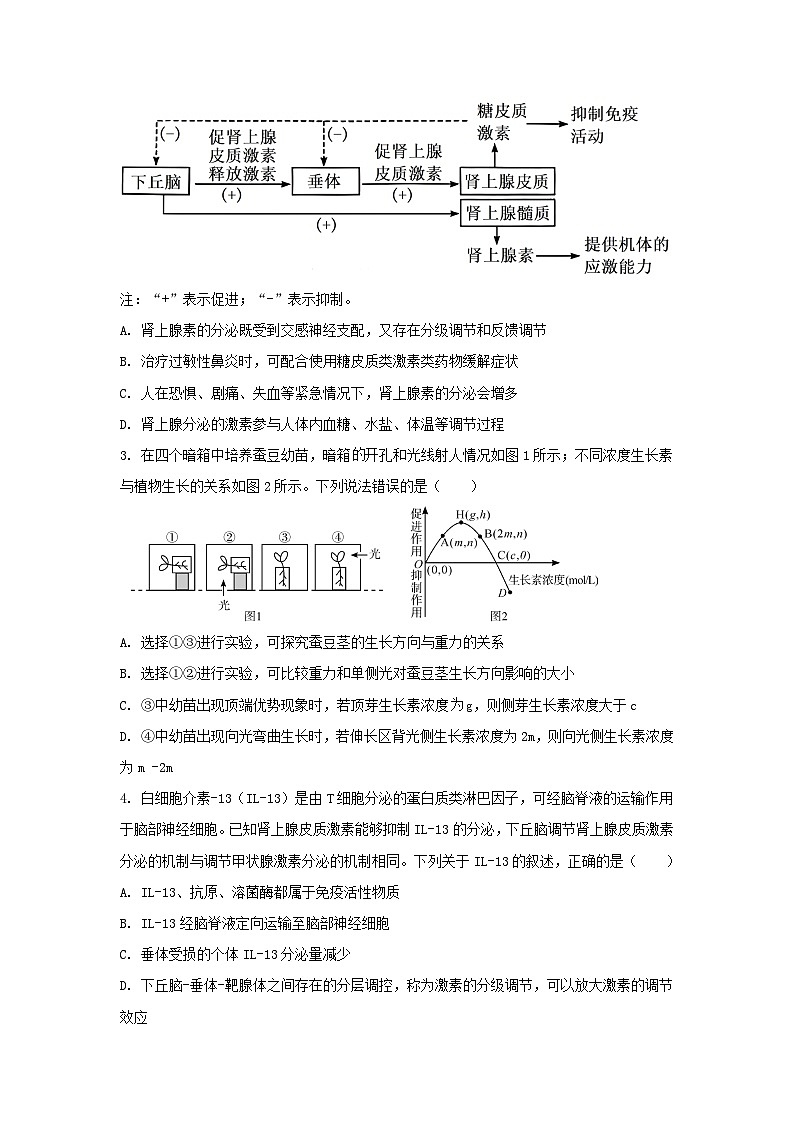 广东省2023_2024学年高二生物上学期第二次月考试题含解析第2页