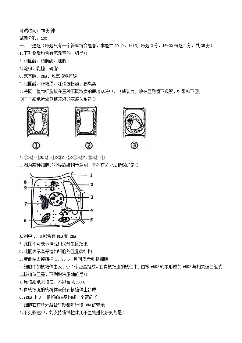 河北省衡水市2023_2024学年高三生物上学期期中试题无答案第1页