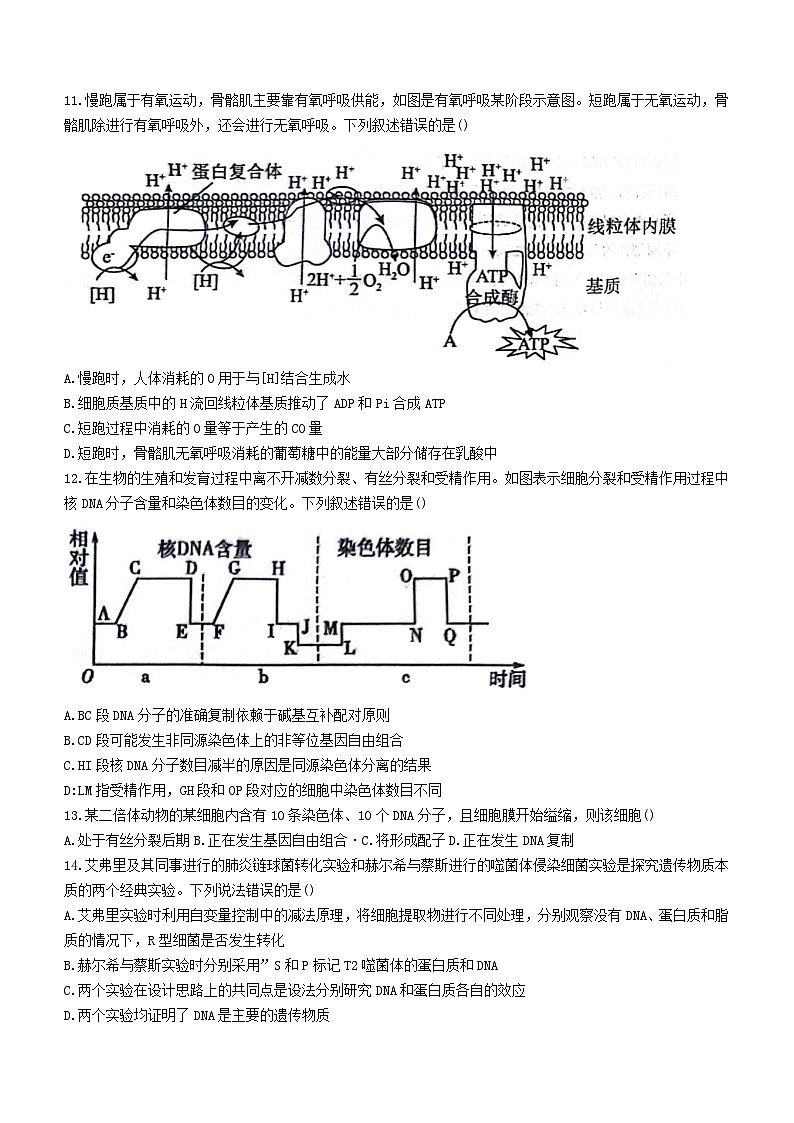 河北省衡水市2023_2024学年高三生物上学期期中试题无答案第3页