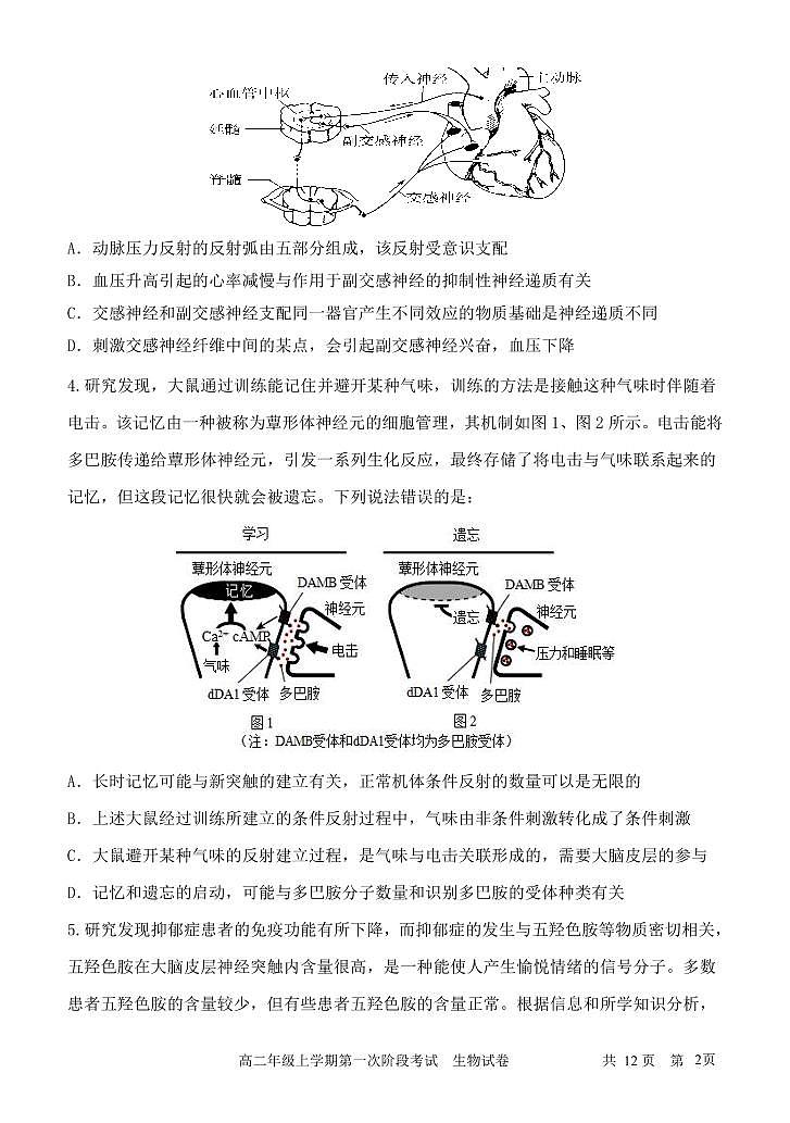 内蒙古自治区2023_2024学年高二生物上学期11月期中试题pdf第2页