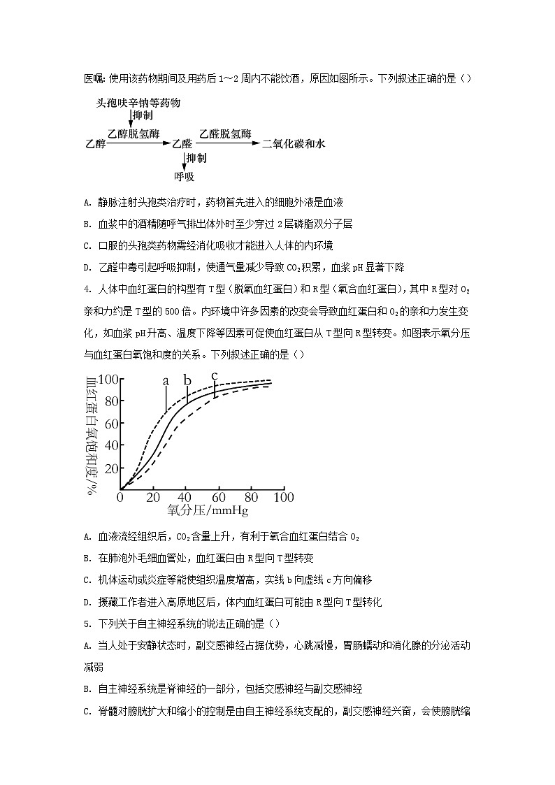 山东省济宁市兖州区2023_2024学年高二生物上学期期中试题含解析第2页