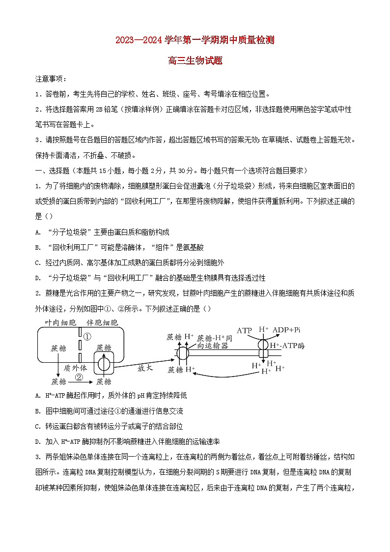山东省济宁市兖州区2023_2024学年高三生物上学期期中试题含解析第1页