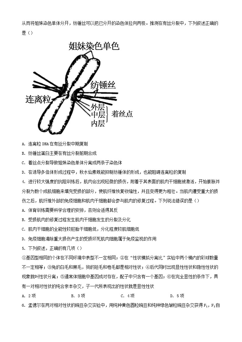 山东省济宁市兖州区2023_2024学年高三生物上学期期中试题含解析第2页