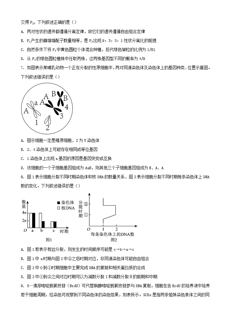山东省济宁市兖州区2023_2024学年高三生物上学期期中试题含解析第3页
