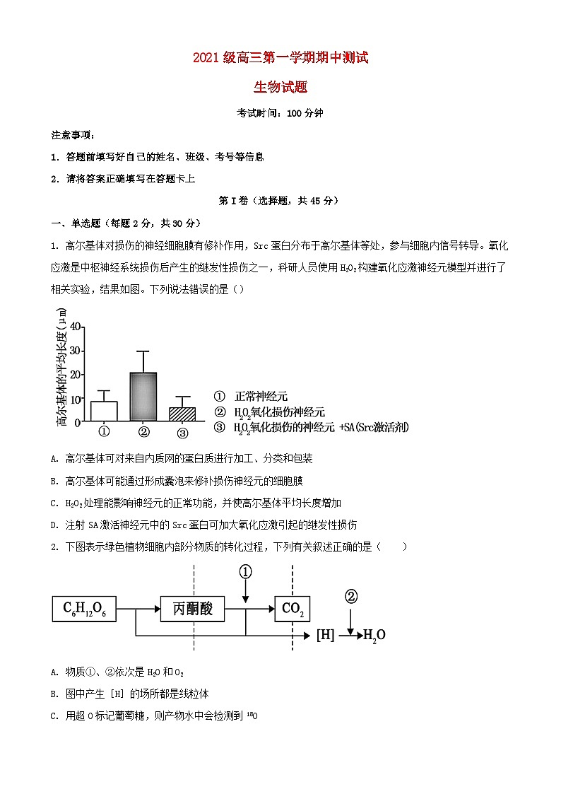 山东省聊城市2023_2024学年高三生物上学期期中试题含解析第1页