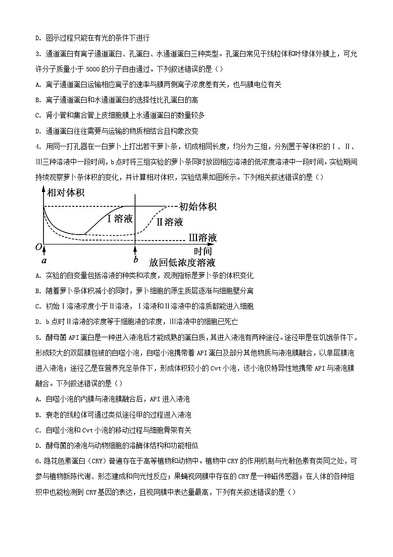 山东省聊城市2023_2024学年高三生物上学期期中试题含解析第2页