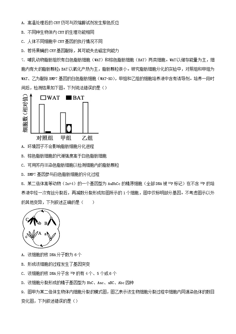 山东省聊城市2023_2024学年高三生物上学期期中试题含解析第3页