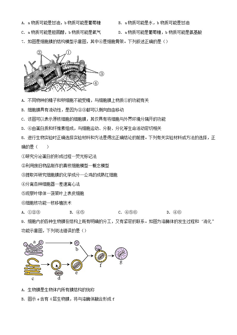 山东省泰安市2023_2024学年高一生物上学期期中试题含解析第3页