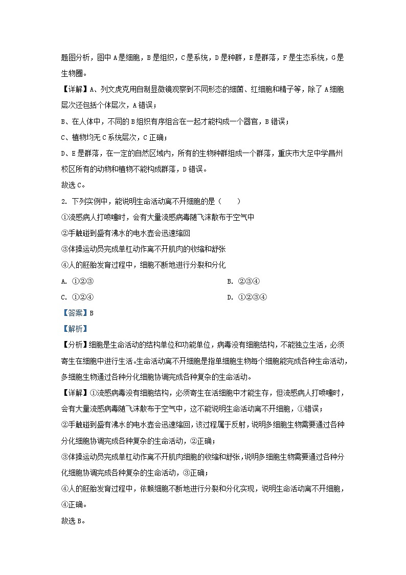 重庆市2023_2024学年高一生物上学期期中联考试题含解析第2页