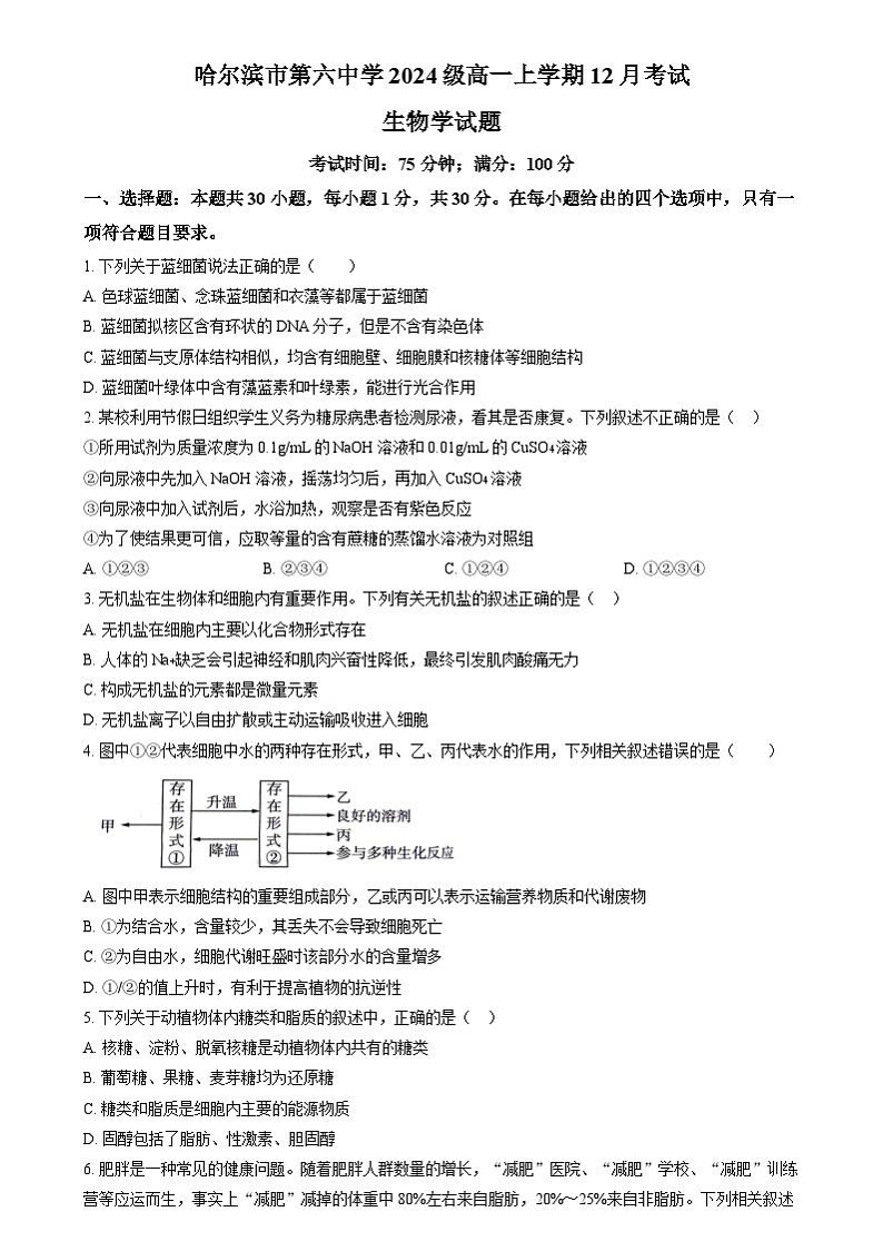 黑龙江省哈尔滨市第六中学2024-2025学年高一上学期12月月考生物试卷（Word版附答案）第1页