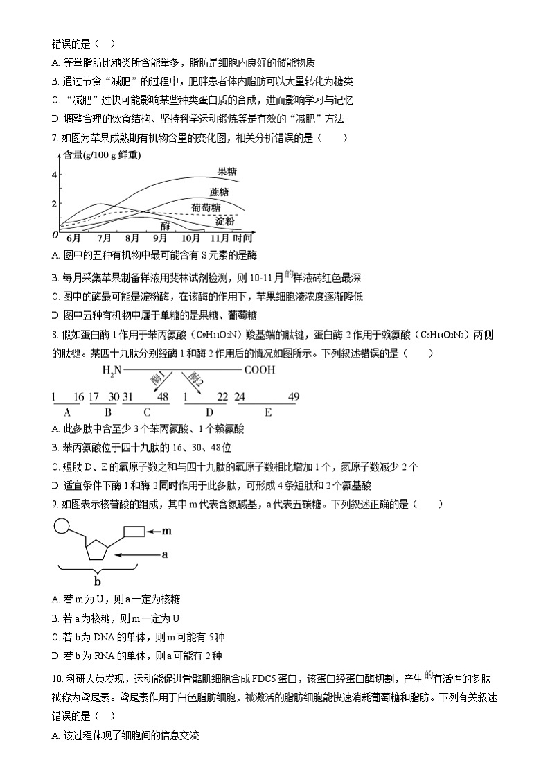 黑龙江省哈尔滨市第六中学2024-2025学年高一上学期12月月考生物试卷（Word版附答案）第2页