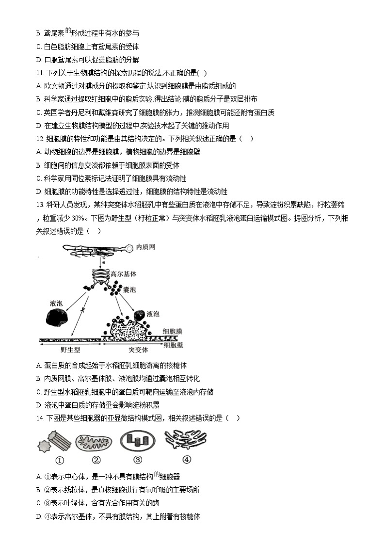 黑龙江省哈尔滨市第六中学2024-2025学年高一上学期12月月考生物试卷（Word版附答案）第3页