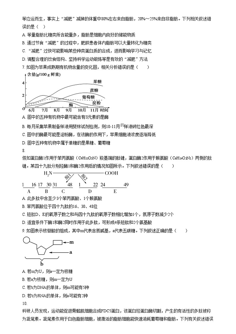 黑龙江省哈尔滨市第六中学校2024-2025学年高一上学期12月月考生物试题  Word版无答案第2页